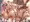催眠噴乳 藤原千花🐮 牛コス