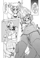 白狐の杜　其の拾壱