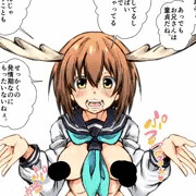 【FANBOX限定】しかのこしこしこしこたんたん☆