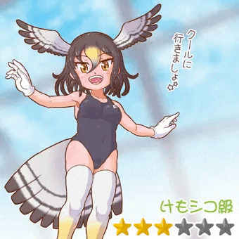 競泳水着オオタカさん