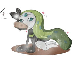 メロエッタ（事後）