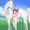 智絵里＆白馬2