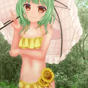太陽の花