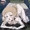 猪瀬舞