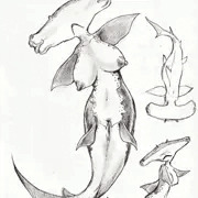 オナホヘッド人魚