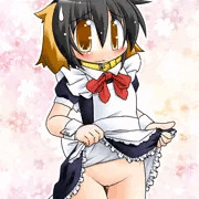 めいどわんこ