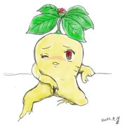 高麗人参