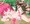 虫に襲われた天使ちゃん