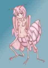 ハナカマキリの成虫と幼虫の中間の子も可愛い！