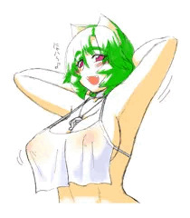 透け透けミニエプロン(？)