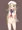 下だけ脱いだやつ
