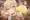 え●らとぺ●ーぬ