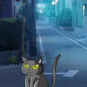 捨て猫を拾ったら……