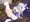 高飛車な騎士ちゃん