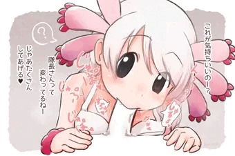 メキシコサラマンダー