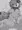 水着ドイッチュラント生ハメ
