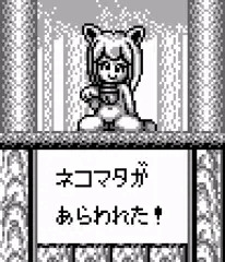 もんむすさぷらいずどゆう