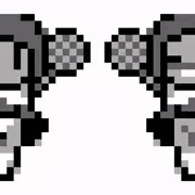 白か無か