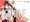 C85サンプル