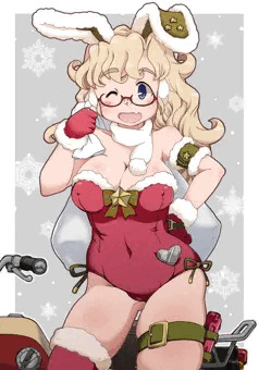 メリークリスマスヾ(oﾟωﾟo)ﾉﾞ