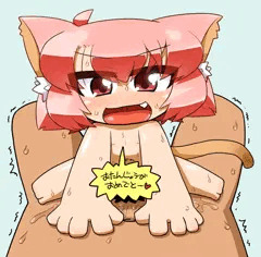 えろねこさんと俺の誕生日