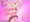 pink bird