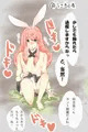 メスあこ