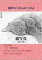 【創作おっさん×おっさん】猫写真ほか２本