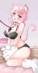 うちのこ