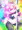 The Reverse Bunny Performer