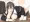 手が止まってるぞ。