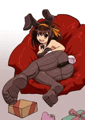 ハルヒバニー