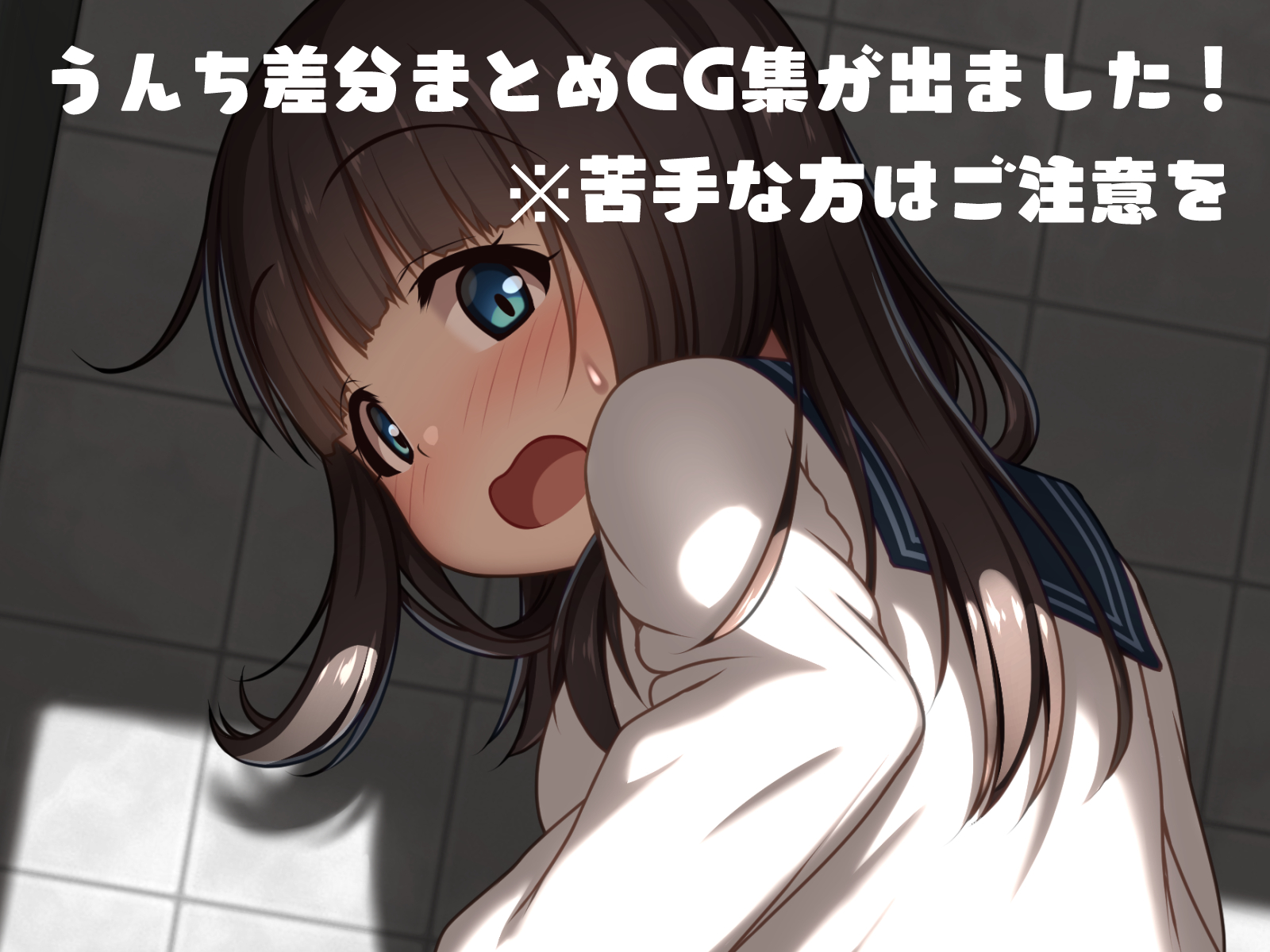 【CG集】うんち差分まとめCG集を発売しました！
