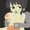 背後から乳揉み