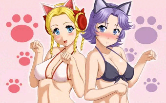 ロイヤルキャット