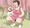 迷子の芝ワンちゃん