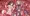 Shiki&Yuki_20251227