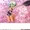 暑いからスク水に