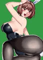 バニーののさん