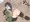 ホビアニのヒロピンシチュを担当にやってもらいたくて……