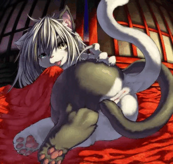 ばけねこ