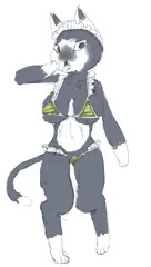 【解説】