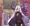 lpちゃんNTR