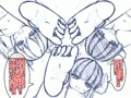 現実でサキュバス親子に永遠の服従を誓いたい