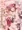 【コミケ】フランちゃんの教えてこぁ先生さん【新刊】