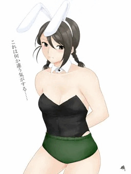 ブルマバニーなるもの