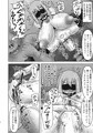 煌盾戦姫エルセイン　VANQUISHED SHIELD 3