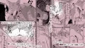 【新作】潮吹き交尾【漫画】
