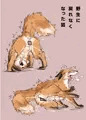 野生に戻れなくなった狐