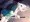 コッコロ11